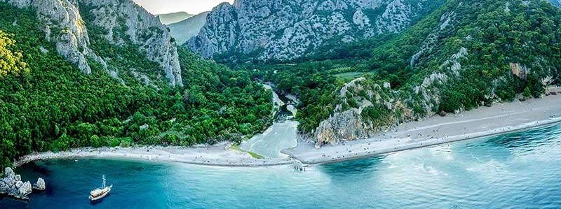 Caretta Caretta olympos çıralı adrasan